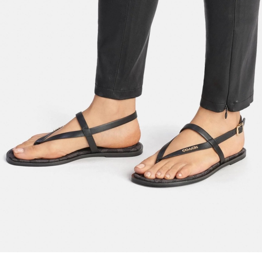 COACH
Women's Josie Strappy Flat Sandals in black - Picture 2 of 7